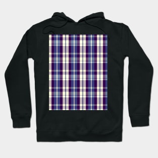 Sunset and Sunrise Aesthetic  Aillith 1 Hand Drawn Textured Plaid Pattern Hoodie